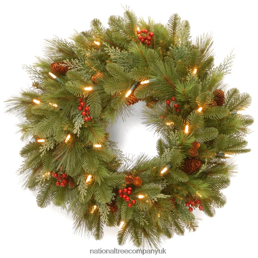 Greenery | National Tree Company Pre-Lit Artificial Christmas Wreath Green Noelle White Lights Decorated with Pine Cones Berry Clusters Christmas Collection 24 Inches F2L4F254